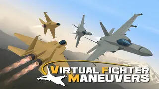 Virtual Fighter Maneuvers