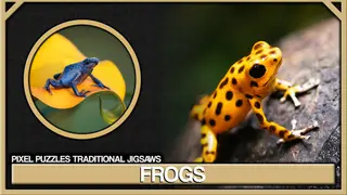 Pixel Puzzles Traditional Jigsaws Pack: Frogs