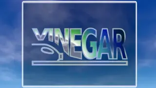 Vinegar