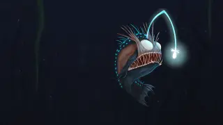 AquaDream - PS4 & PS5