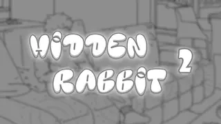 Hidden Rabbit 2
