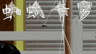 Spider Caro