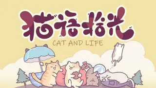 Cat And Life