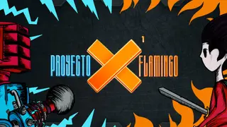 Proyecto_Flamingo_X1