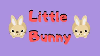 Little Bunny