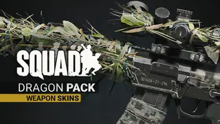 Squad Weapon Skins - Dragon Pack