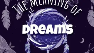 The Meaning of Dreams - Switch