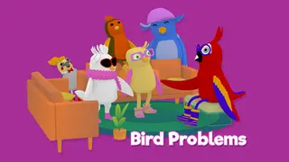 Bird Problems