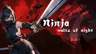 Ninja - waltz of night