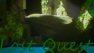 Lost quest