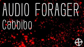 Audio Forager