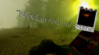 Naturalist Stories