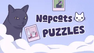 Napcats Puzzles