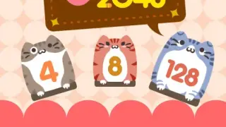 2048 CAT - Switch