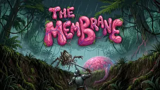 The Membrane