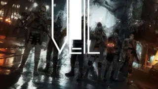 VEIL
