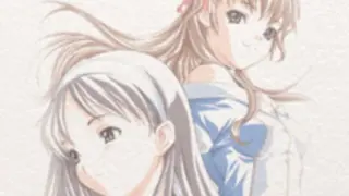 White Album