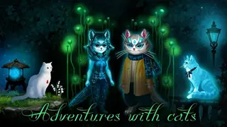 Adventures and investigations with cats