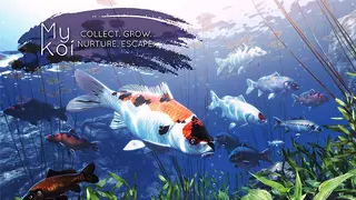 My Koi