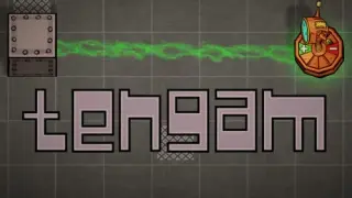 Tengam - Switch