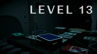 Level 13