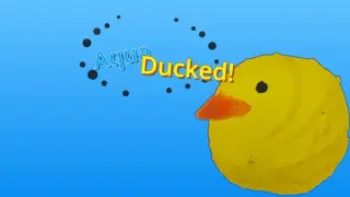 AquaDucked!
