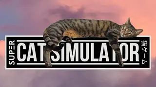 Super Cat Simulator