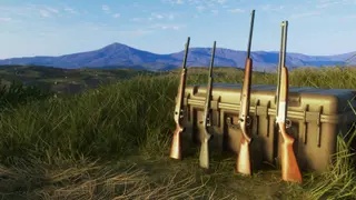 theHunter: Call of the Wild – Multi-Class Weapon Pack - PS4