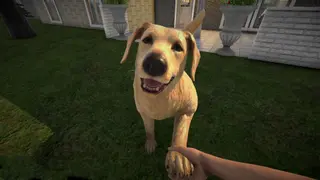 Pets Hotel - Xbox Series