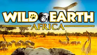 Wild Earth - Africa