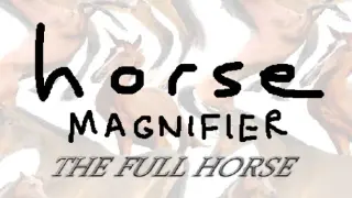 Horse Magnifier: The Full Horse