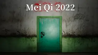 MeiQi 2022