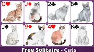 Free Solitaire - Cats