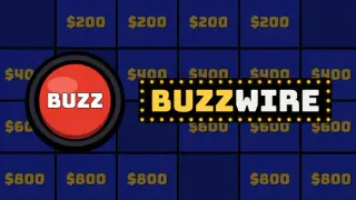 Buzzwire