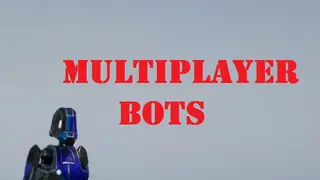 MULTIPLAYER BOTS