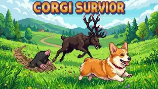 Corgi Survivor
