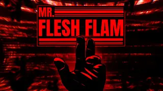 MR. FLESH FLAM