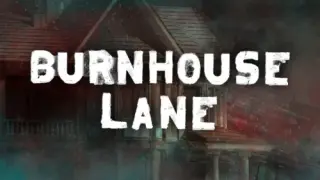 Burnhouse Lane - Switch