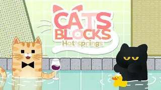 CATS BLOCKS: HOT SPRINGS