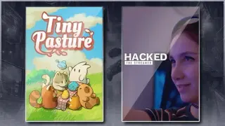 Tiny Pasture & Hacked: The Streamer