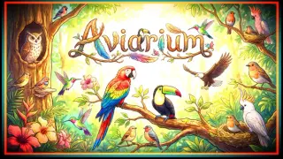 Birds & Frogs