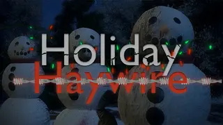 Holiday Haywire