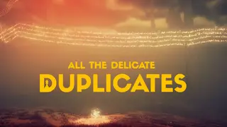 All the Delicate Duplicates