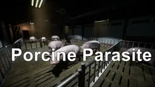 Porcine Parasite