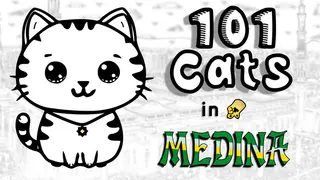 101 Cats in Medina