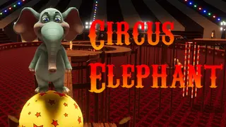 Circus Elephant