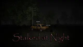 Stalked at Night