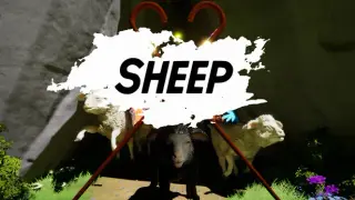 SHEEP