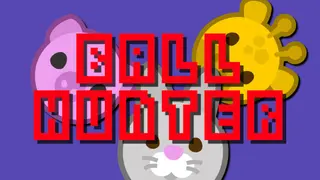 Ball Hunter