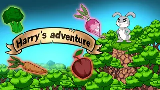 Harry's Adventure